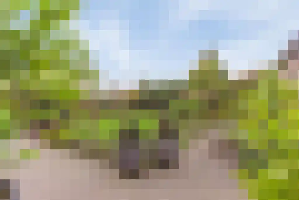 Europalaan 4 Valkenswaard thumbnail 40