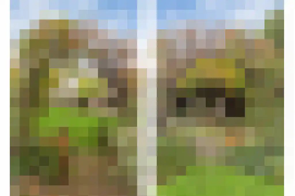 Europalaan 4 Valkenswaard thumbnail 41
