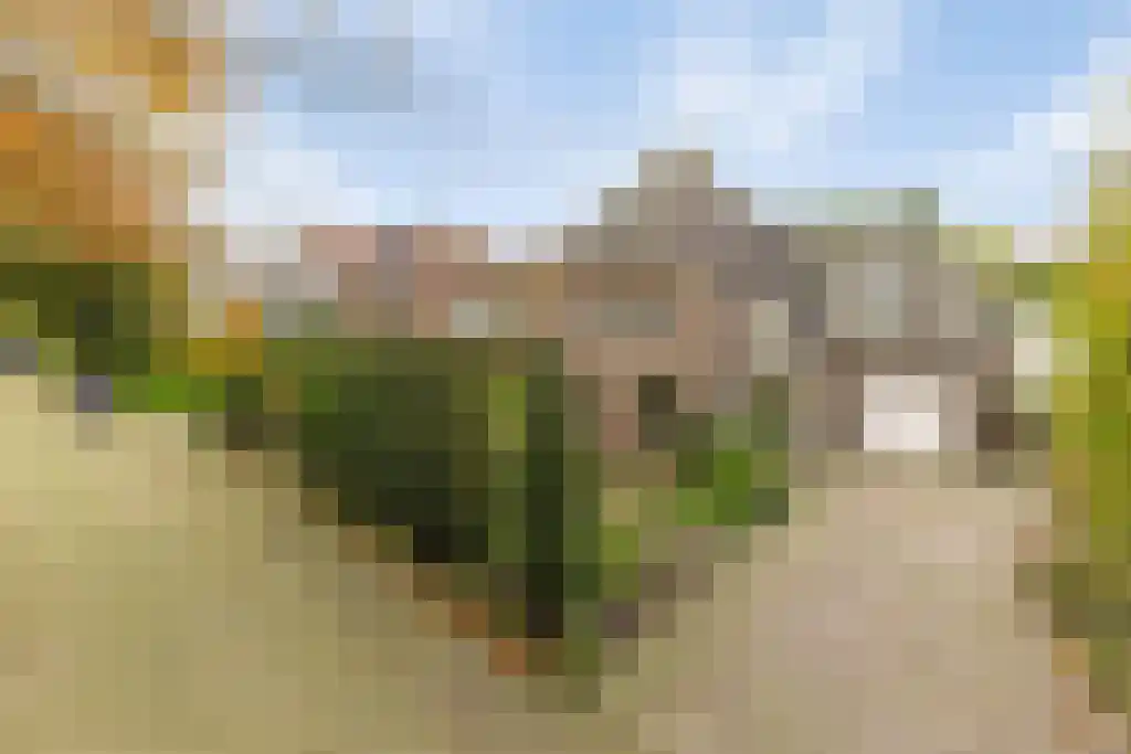 Europalaan 4 Valkenswaard thumbnail 42