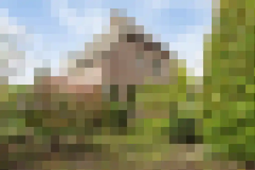 Europalaan 4 Valkenswaard thumbnail 44