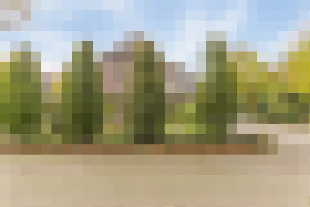 Europalaan 4 Valkenswaard thumbnail 45
