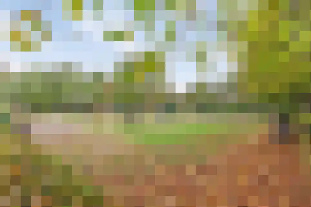 Europalaan 4 Valkenswaard thumbnail 47