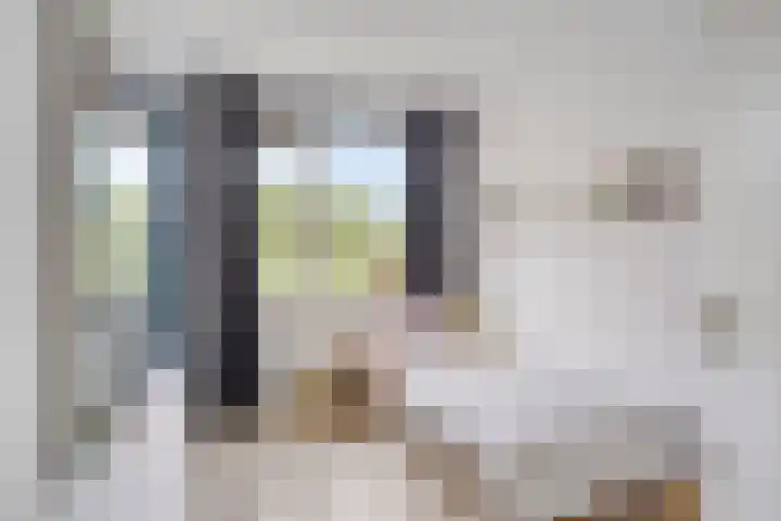Europalaan 409 Tilburg thumbnail 11