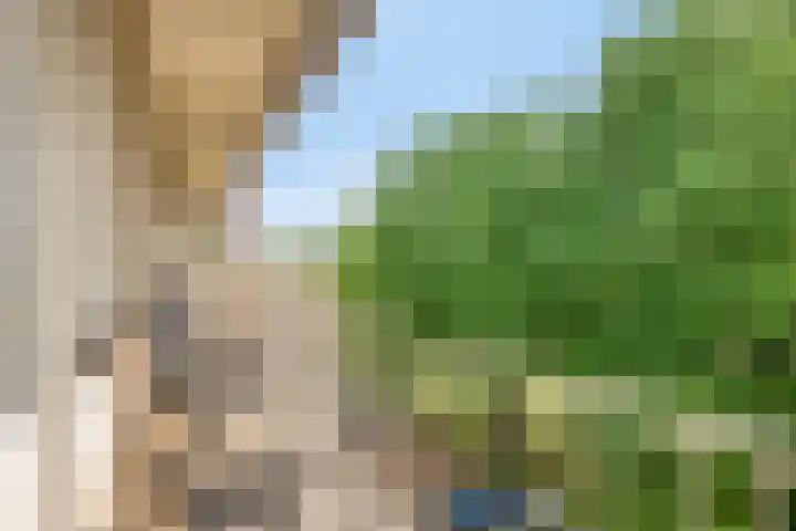 Europalaan 409 Tilburg thumbnail 18