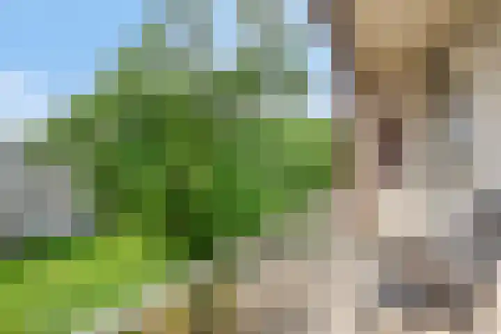 Europalaan 409 Tilburg thumbnail 19
