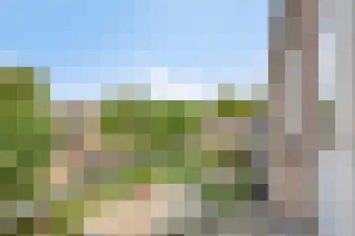 Europalaan 409 Tilburg thumbnail 20