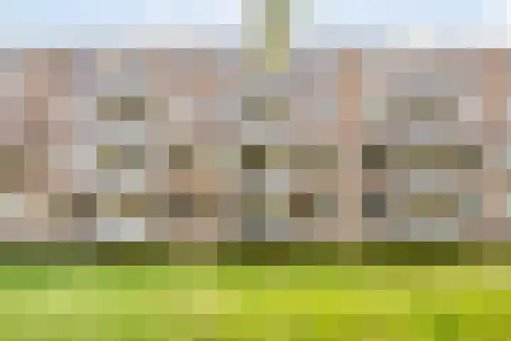 Europalaan 409 Tilburg thumbnail 22