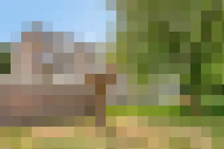 Europalaan 409 Tilburg thumbnail 23