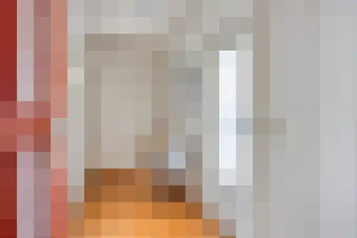 Europalaan 409 Tilburg thumbnail 6