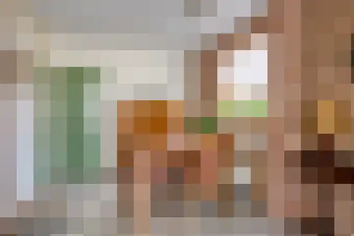 Europalaan 41 Gendt thumbnail 10
