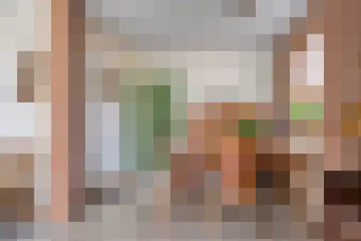Europalaan 41 Gendt thumbnail 11