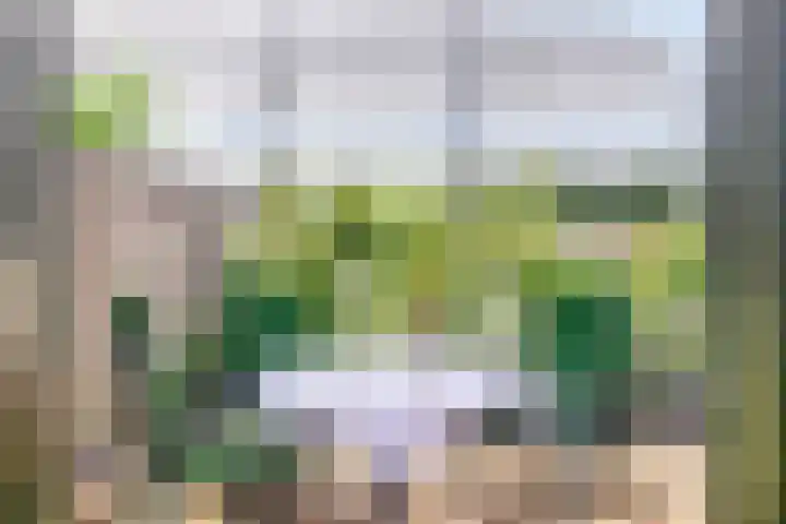 Europalaan 41 Gendt thumbnail 21