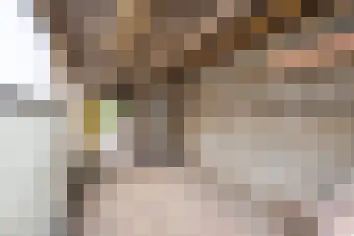 Europalaan 41 Gendt thumbnail 25