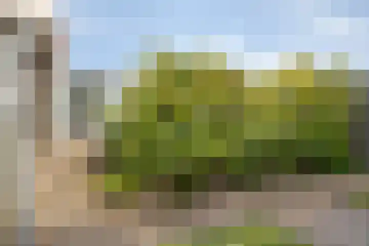 Europalaan 41 Gendt thumbnail 27