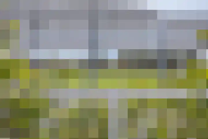 Europalaan 41 Gendt thumbnail 28