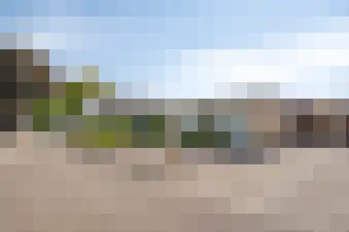 Europalaan 41 Gendt thumbnail 5