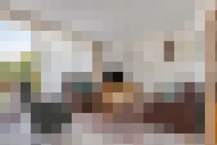 Europalaan 41 Gendt thumbnail 7