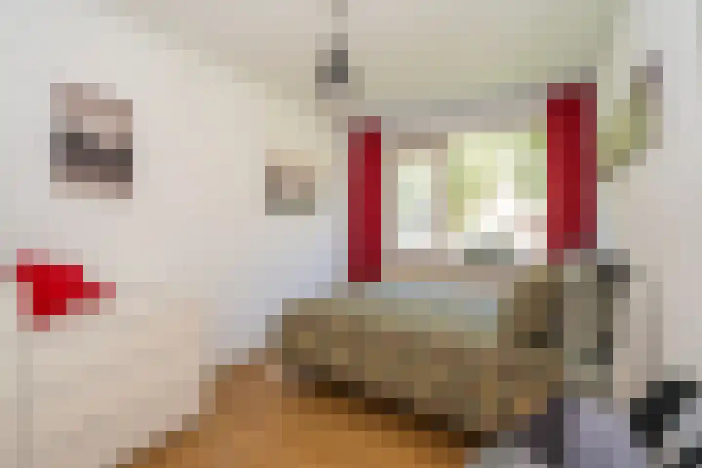 Europalaan 415 Tilburg thumbnail 32