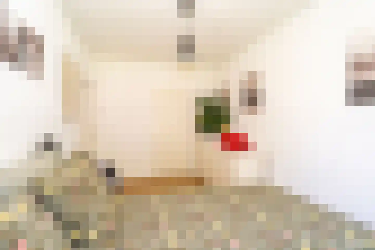 Europalaan 415 Tilburg thumbnail 33