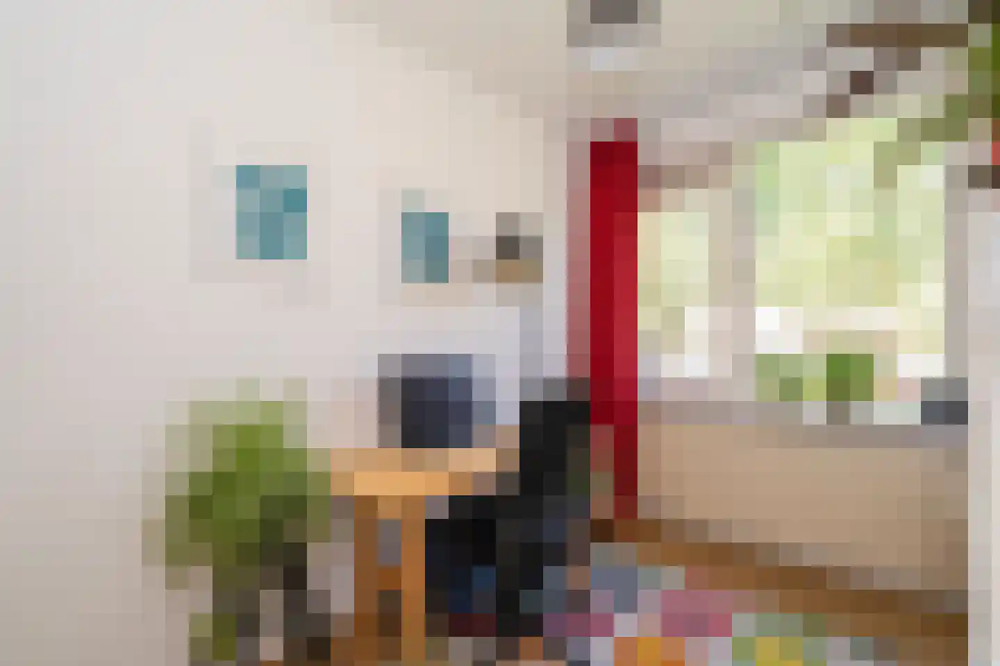 Europalaan 415 Tilburg thumbnail 35