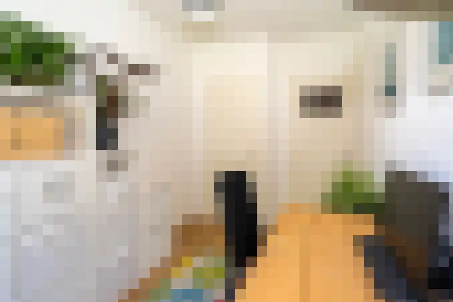 Europalaan 415 Tilburg thumbnail 37