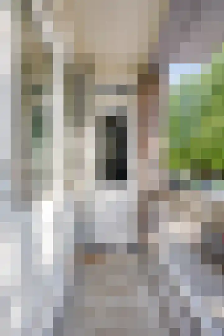 Europalaan 417 Tilburg thumbnail 18