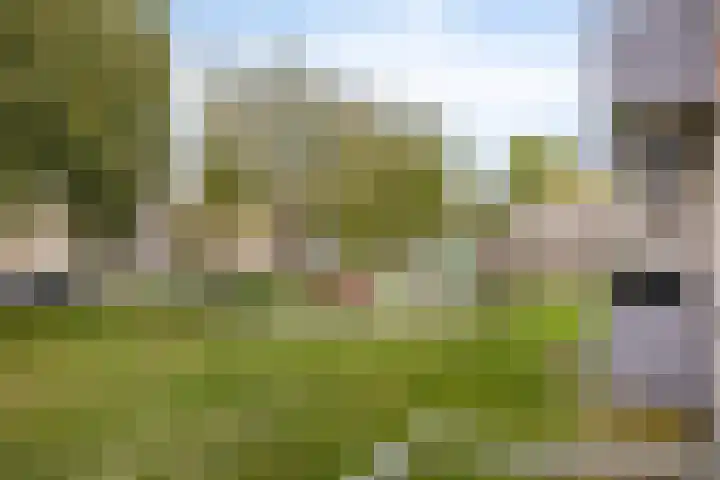 Europalaan 417 Tilburg thumbnail 34