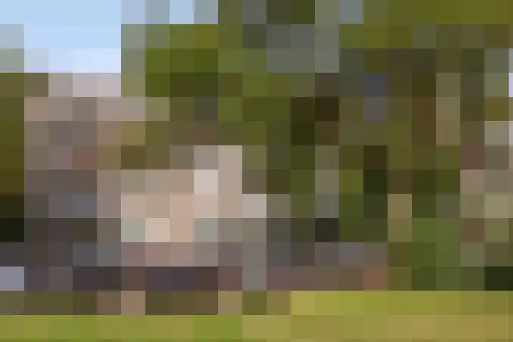 Europalaan 417 Tilburg thumbnail 6