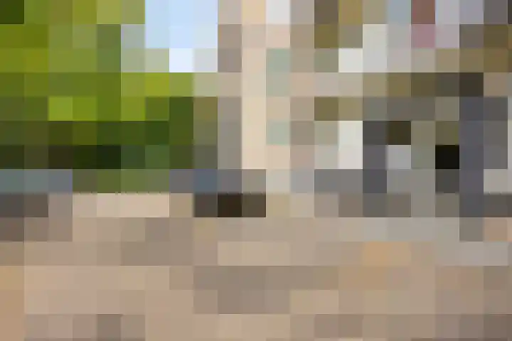 Europalaan 417 Tilburg thumbnail 7