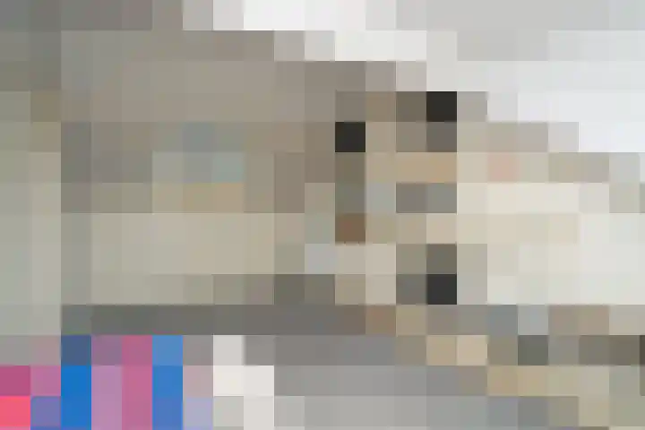 Europalaan 42 Tilburg thumbnail 46