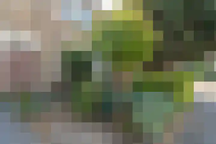 Europalaan 42 Tilburg thumbnail 7