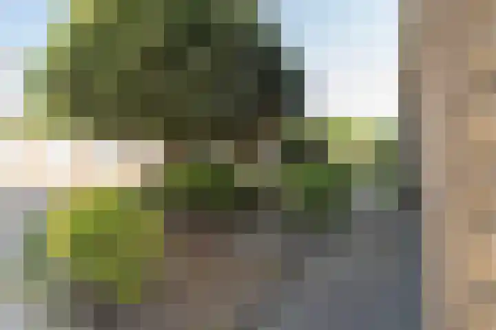 Europalaan 42 Tilburg thumbnail 8