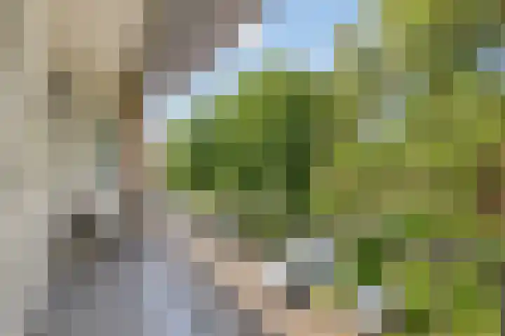 Europalaan 421 Tilburg thumbnail 13