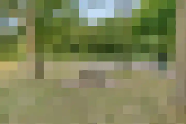 Europalaan 421 Tilburg thumbnail 24