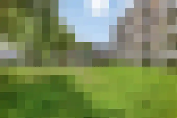 Europalaan 421 Tilburg thumbnail 27