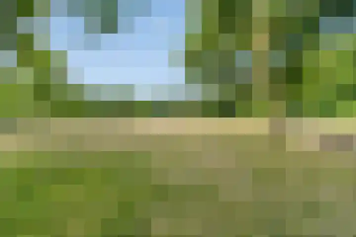 Europalaan 421 Tilburg thumbnail 28