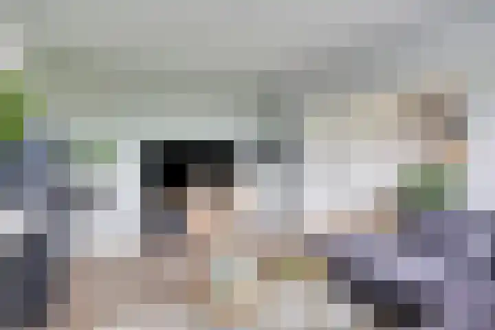 Europalaan 425 Tilburg thumbnail 13