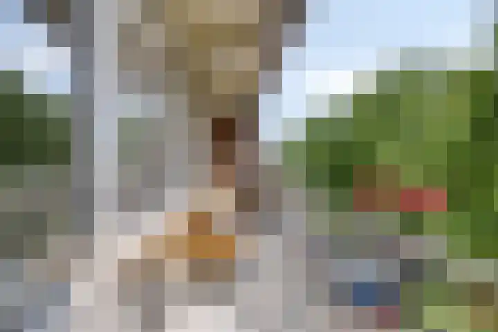 Europalaan 425 Tilburg thumbnail 17