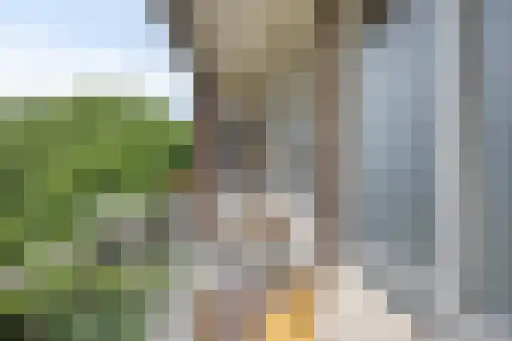 Europalaan 425 Tilburg thumbnail 18