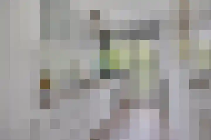 Europalaan 425 Tilburg thumbnail 19