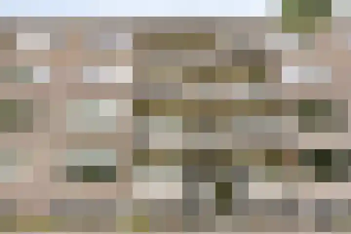 Europalaan 425 Tilburg thumbnail 8