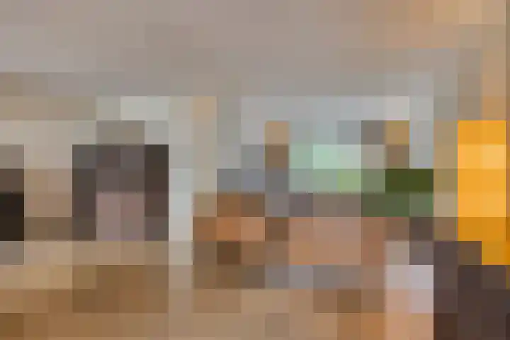 Europalaan 43 Epe thumbnail 10