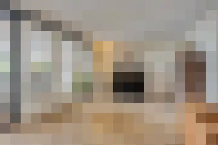 Europalaan 43 Epe thumbnail 13