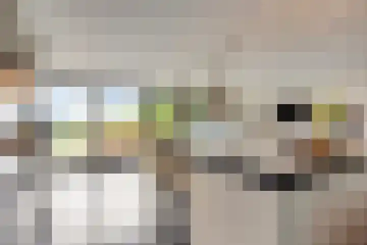 Europalaan 43 Epe thumbnail 18