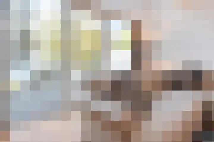 Europalaan 43 Epe thumbnail 19