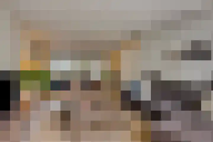 Europalaan 43 Epe foto 2