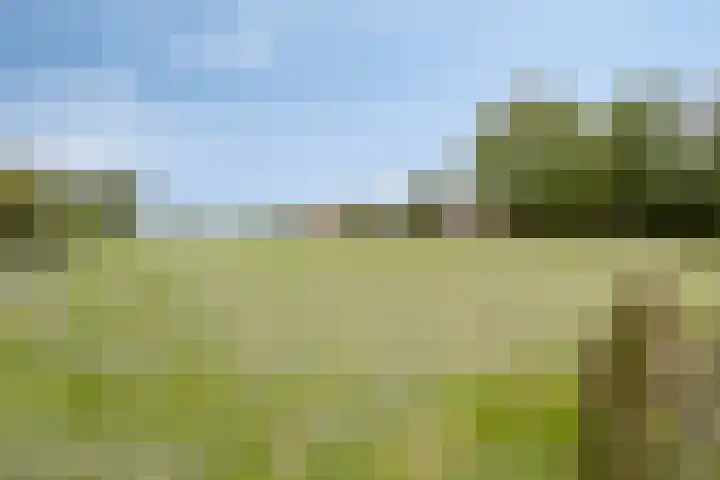 Europalaan 43 Epe thumbnail 23