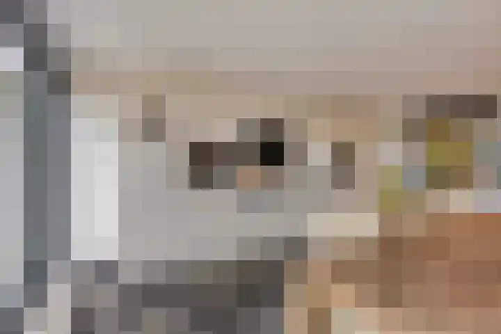 Europalaan 43 Epe thumbnail 25