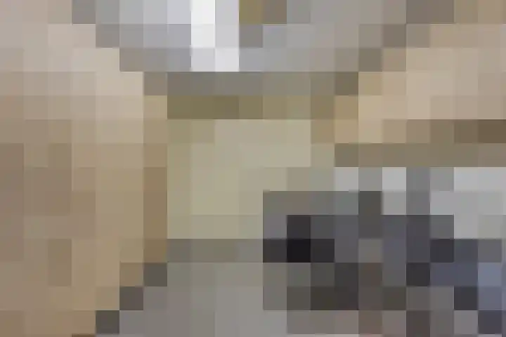 Europalaan 43 Epe thumbnail 30