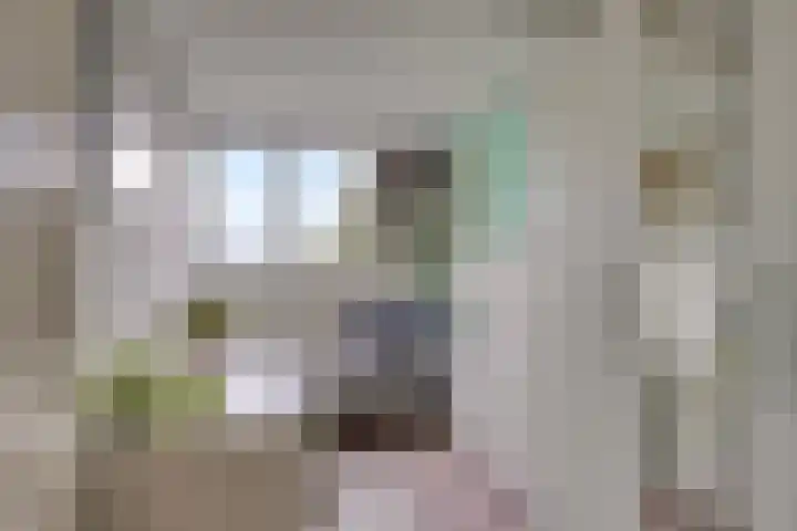 Europalaan 43 Epe thumbnail 34